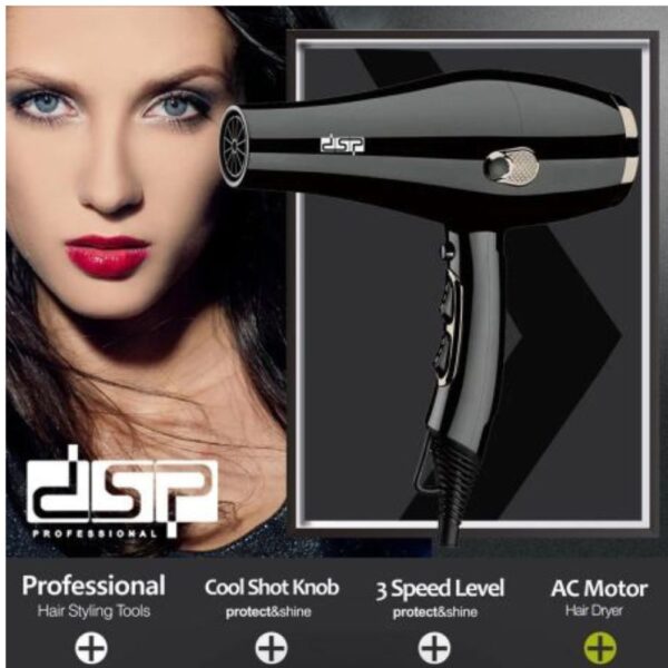 DSP Hair Dryer