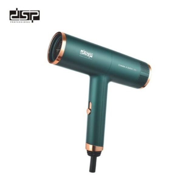 DSP hair dryer