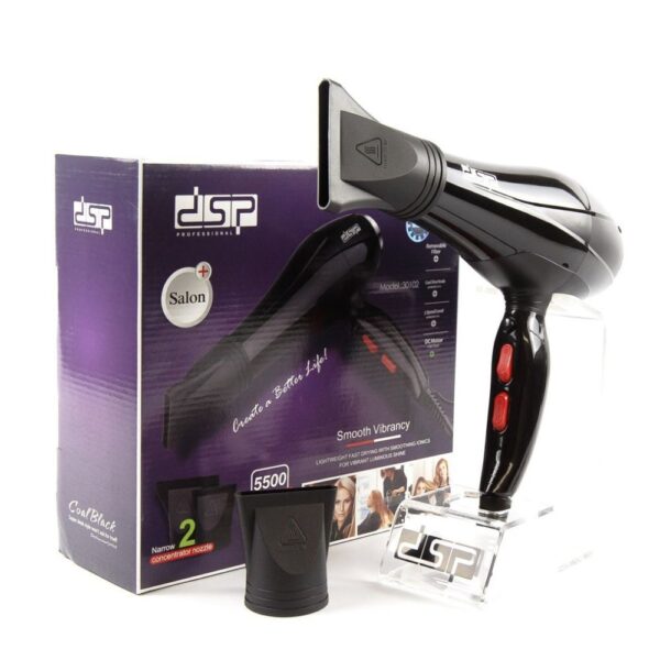 DSP hair dryer