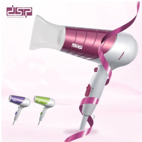 DSP Hair Dryer